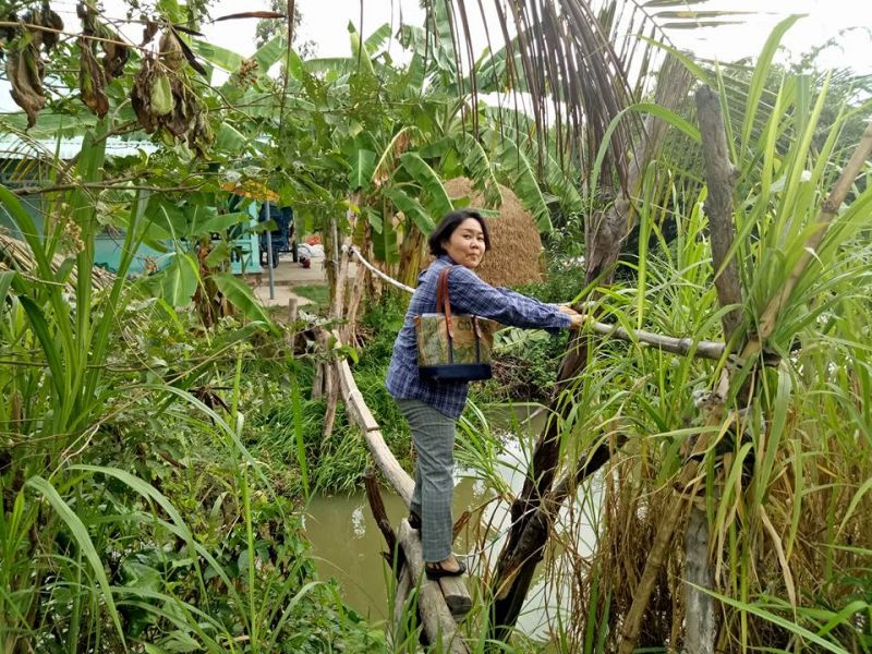 cầu khỉ miền tây cầu khỉ miền tây